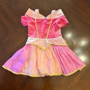 Taylor Joelle Costume Velvet Sleeping Beauty Princess Dress 2